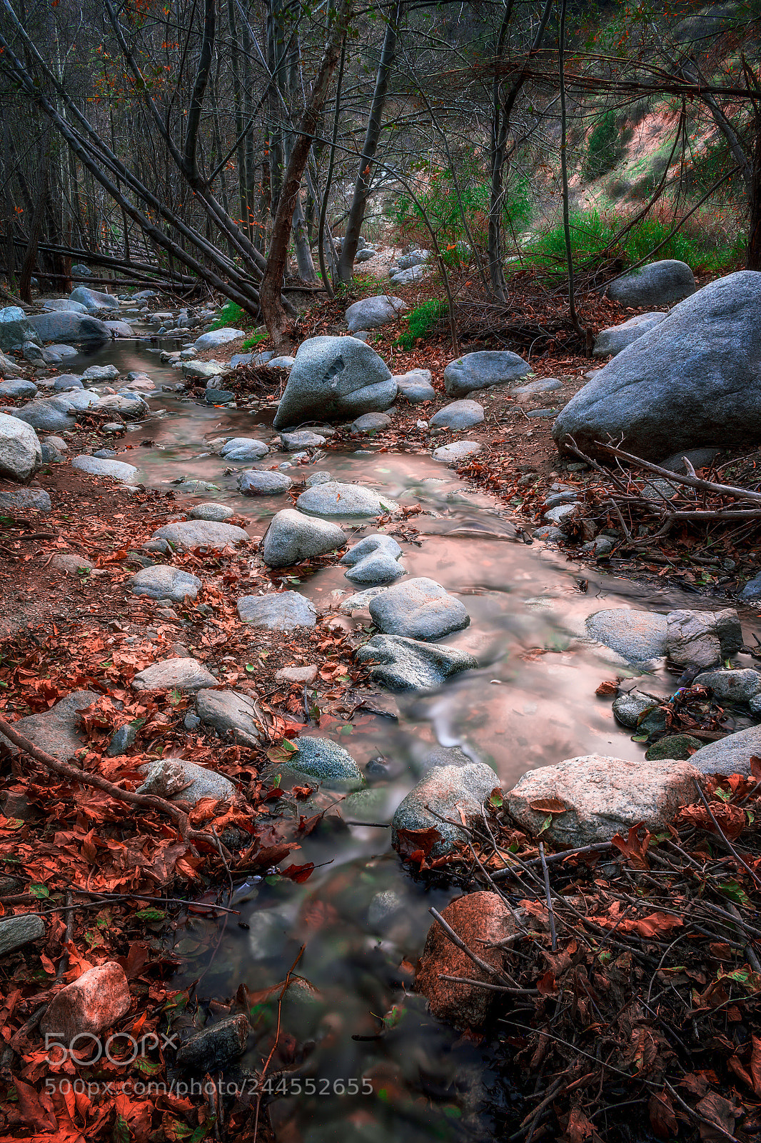 Nikon D3400 sample photo. My favourite places on photography