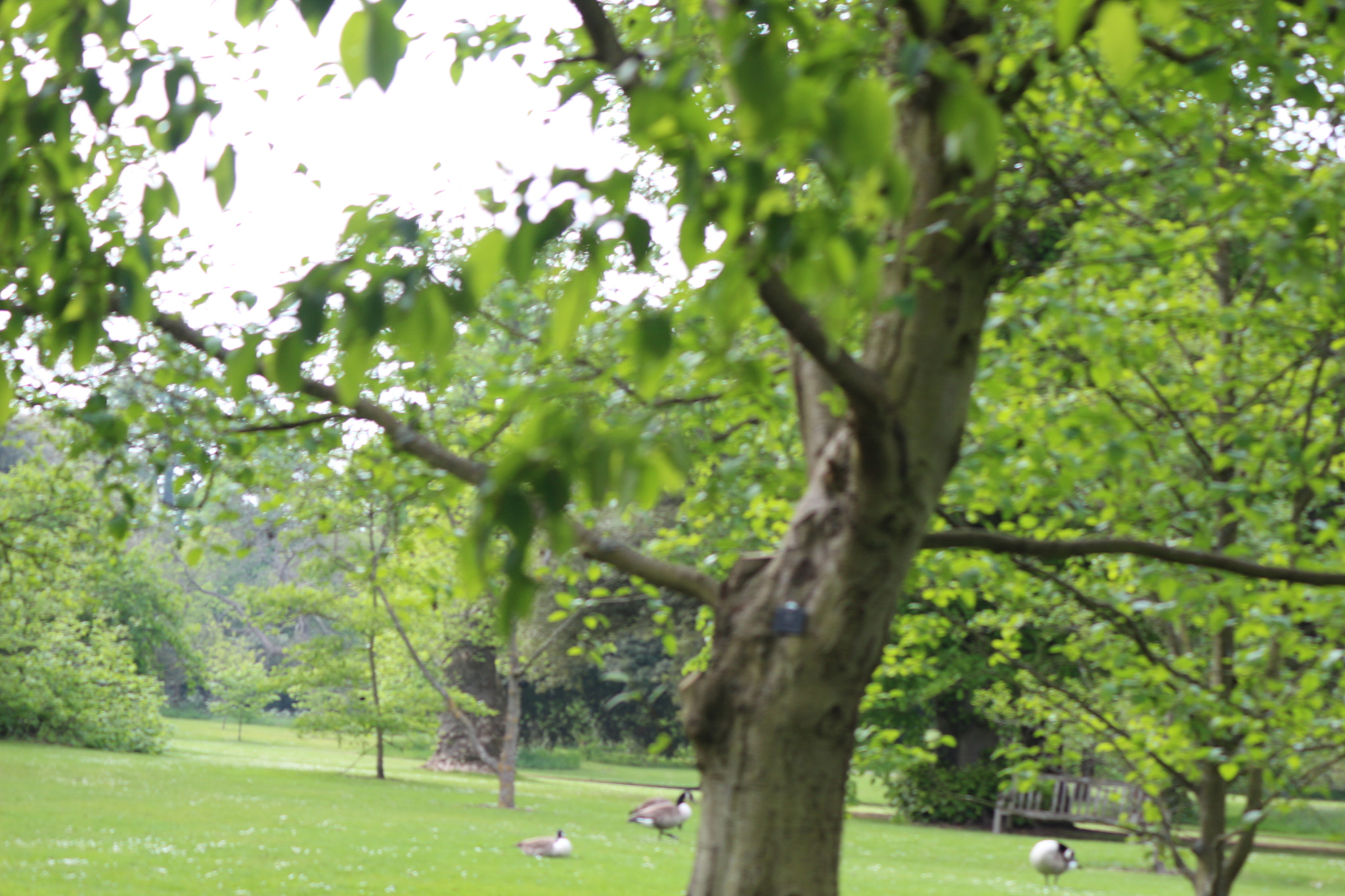 Canon EOS 650D (EOS Rebel T4i / EOS Kiss X6i) sample photo. Img photography