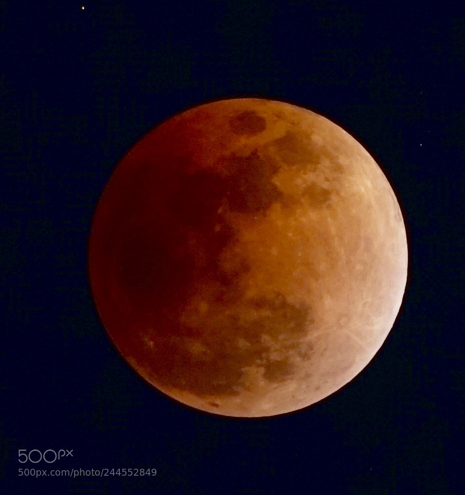 Sony a7 II sample photo. Blood moon photography