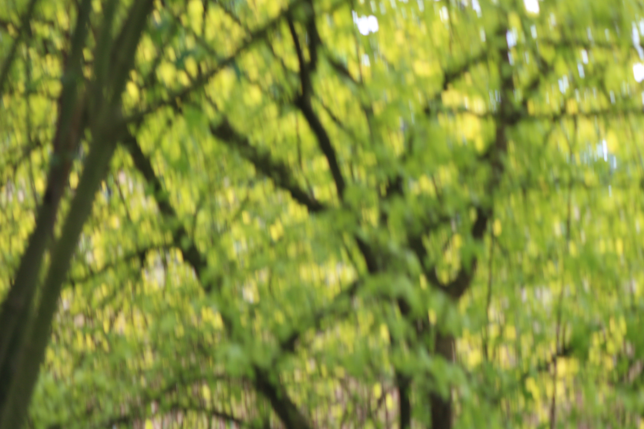 Canon EOS 650D (EOS Rebel T4i / EOS Kiss X6i) sample photo. Img photography