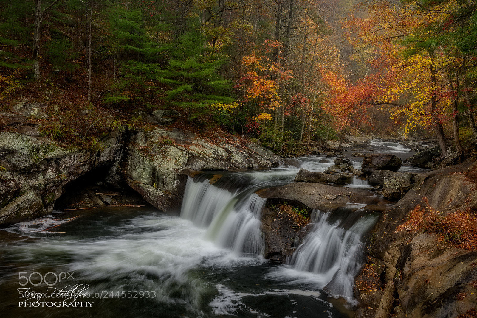 Nikon D810 sample photo. Baby falls photography