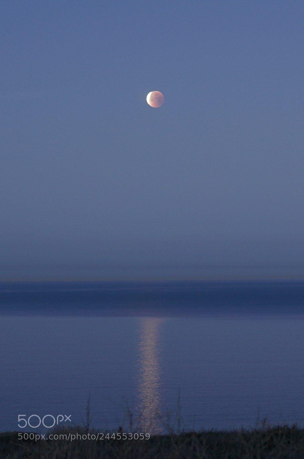 Sony a6300 sample photo. Super blue blood moon photography