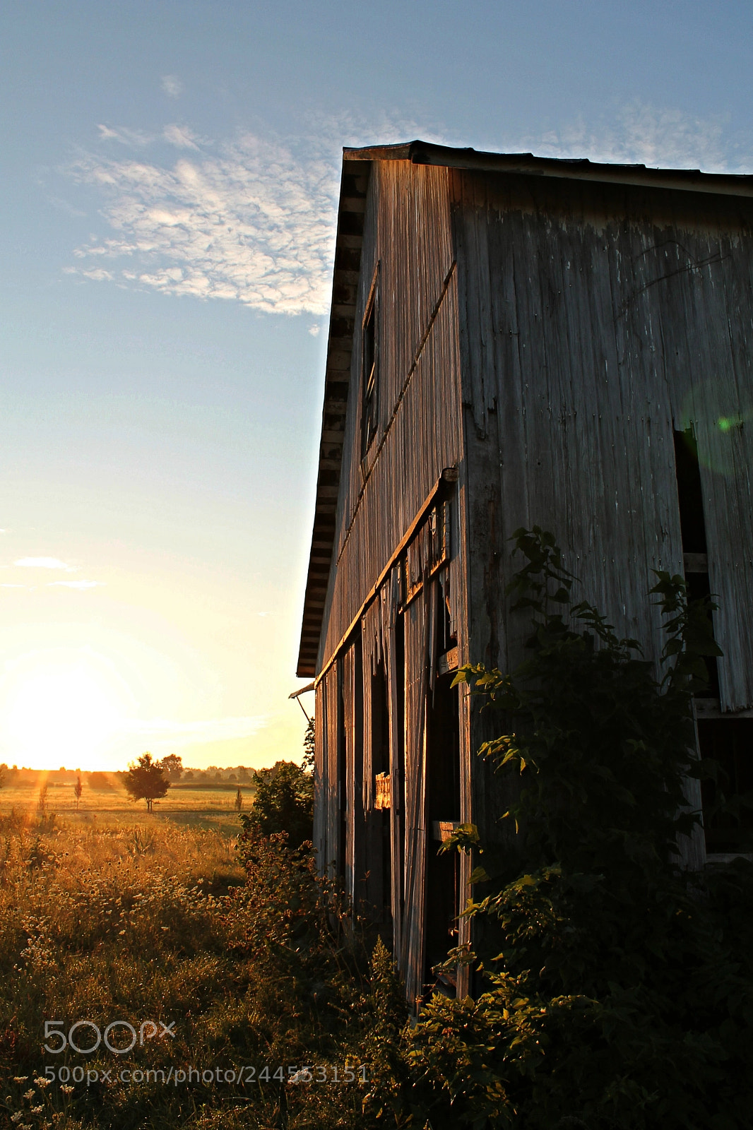 Canon EOS 1100D (EOS Rebel T3 / EOS Kiss X50) sample photo. Old dawn photography
