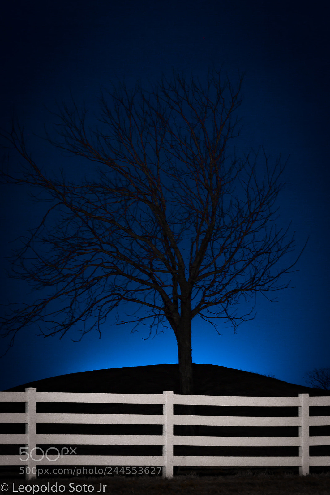 Canon EOS 600D (Rebel EOS T3i / EOS Kiss X5) sample photo. Growing feelings photography