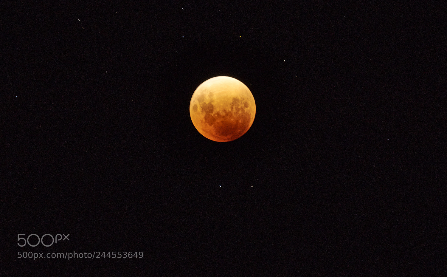 Sony Alpha DSLR-A850 sample photo. Blood moon york western photography