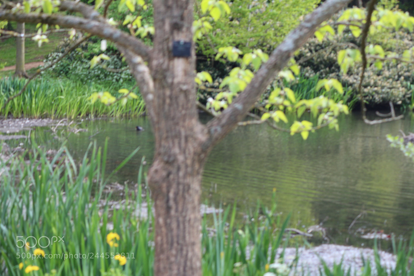 Canon EOS 650D (EOS Rebel T4i / EOS Kiss X6i) sample photo. Img photography