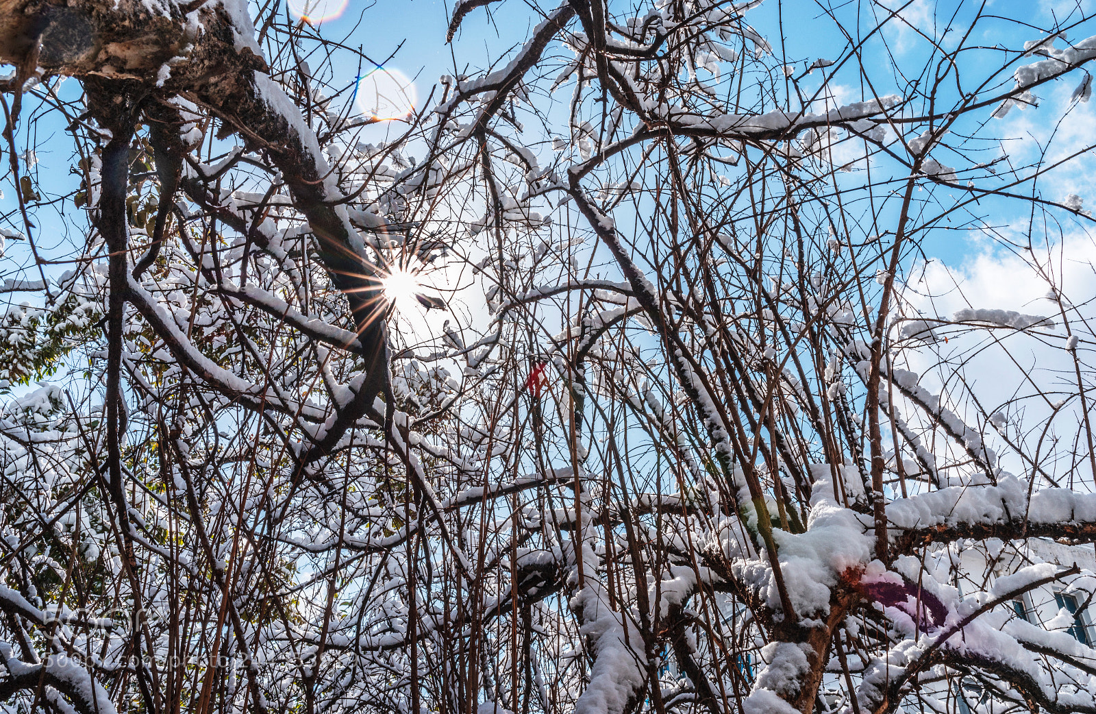 Pentax K-1 sample photo. Untitled photography