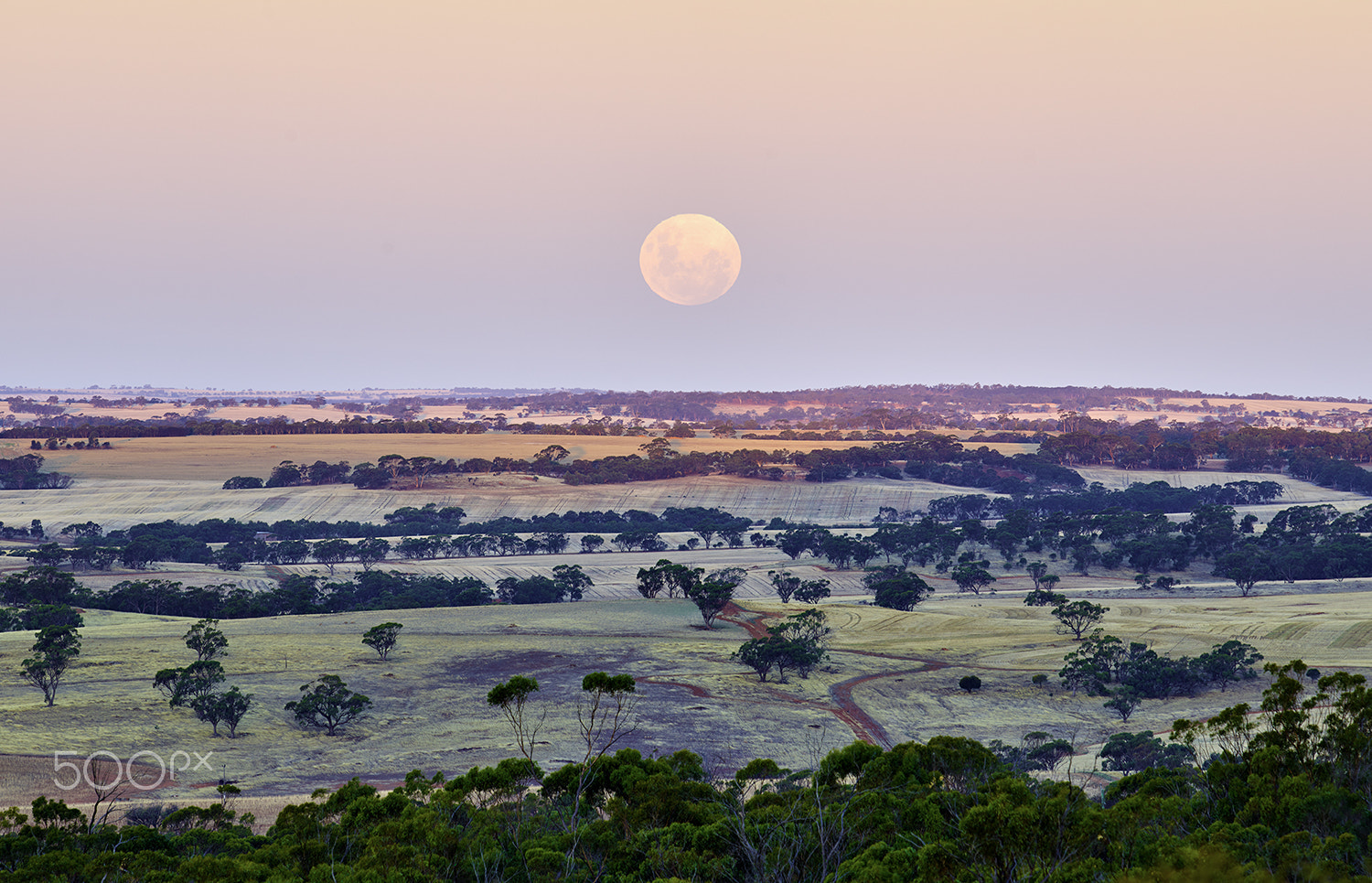 Phase One IQ3 100MP sample photo. Night of the blood moon over the york fields photography