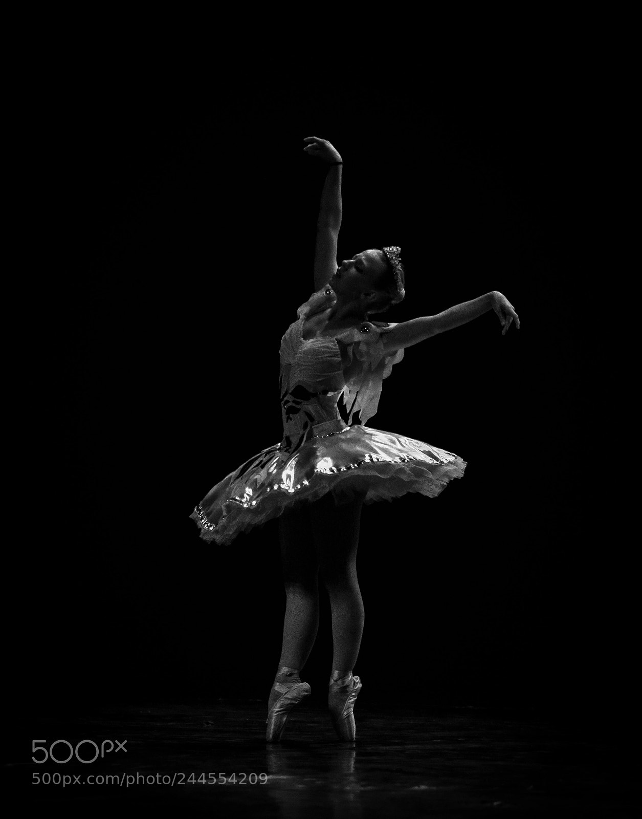 Nikon D7100 sample photo. Untitled photography