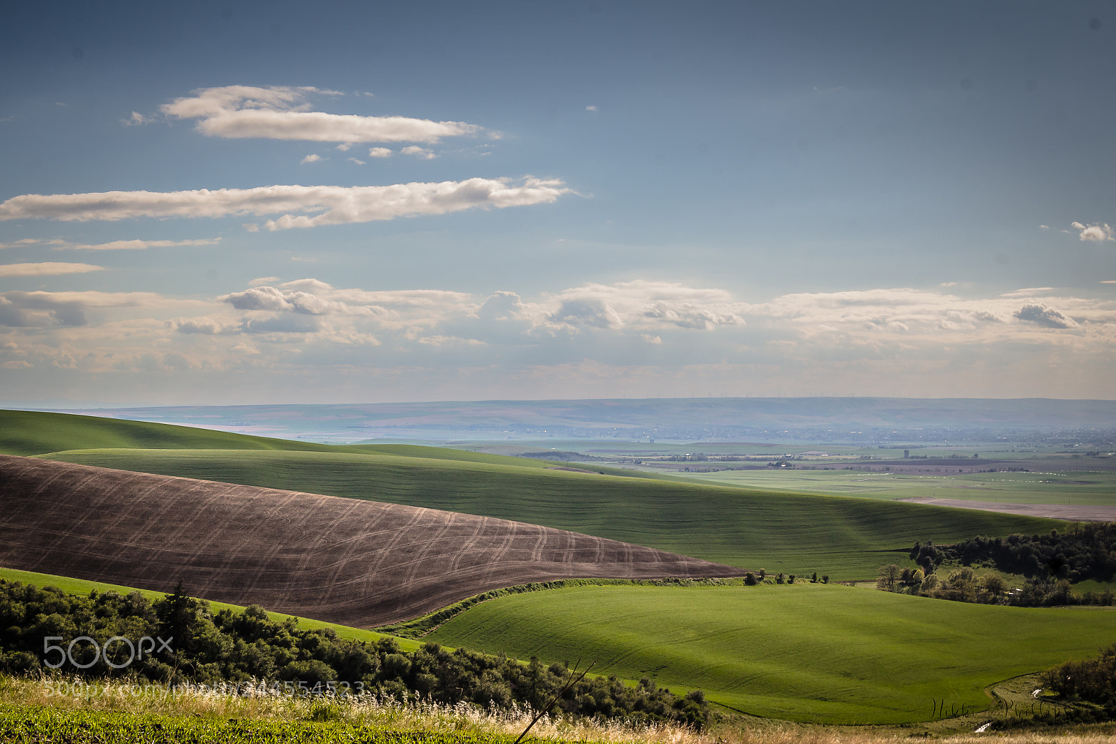 Canon EOS 60D sample photo. Patchwork photography