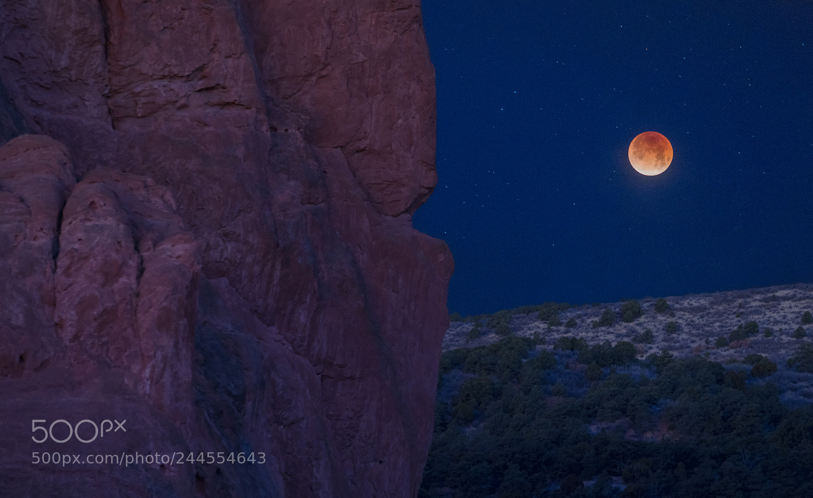 Sony a7R III sample photo. Celestial gardens photography