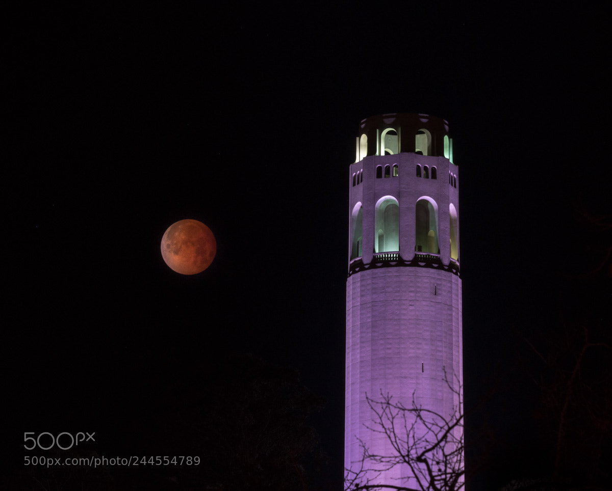 Sony a7R III sample photo. Lunar trifecta photography