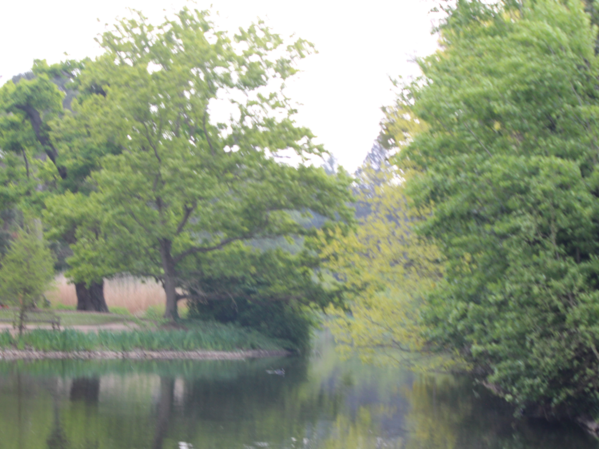 Canon EOS 650D (EOS Rebel T4i / EOS Kiss X6i) sample photo. Img photography