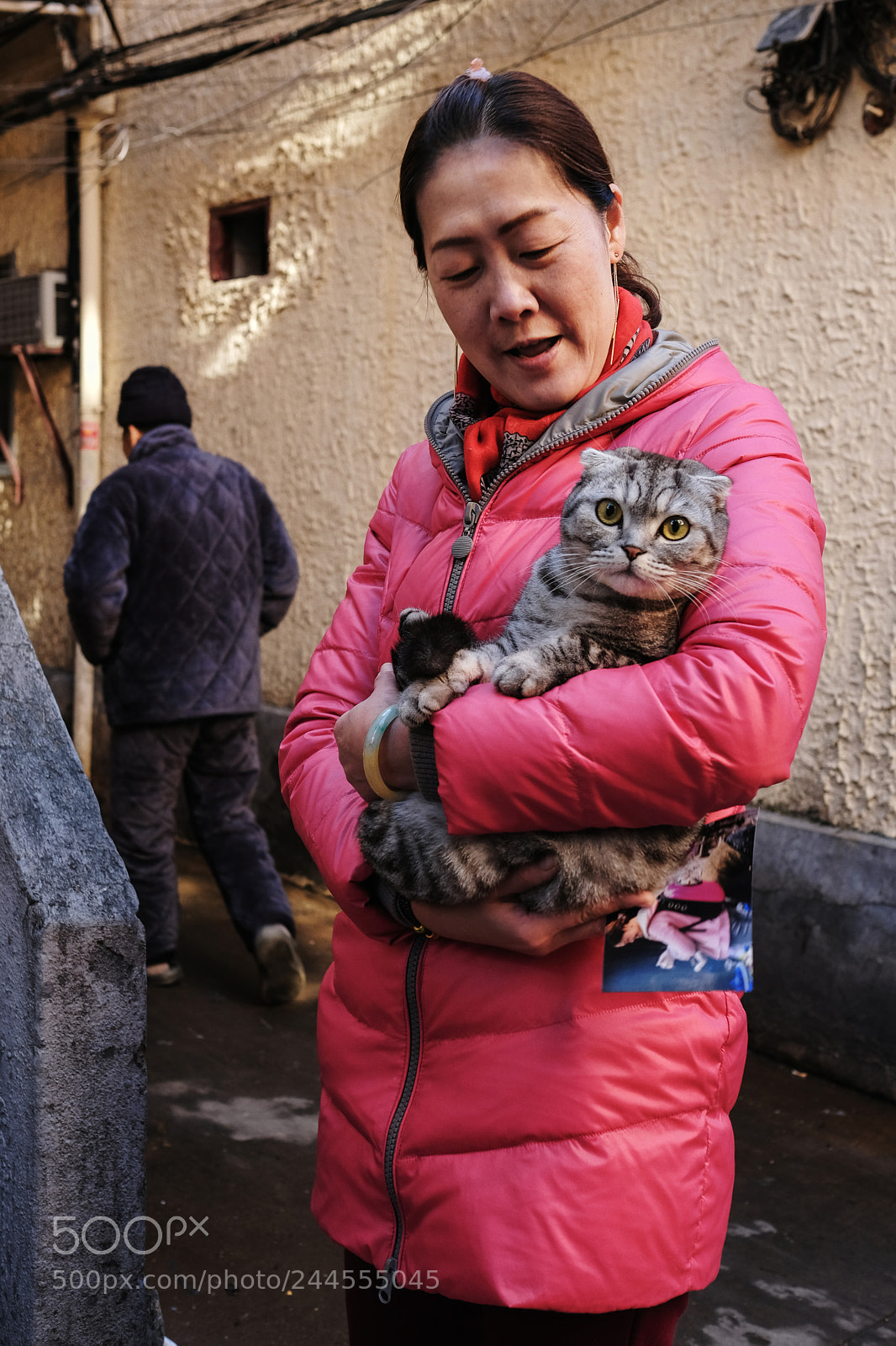 Fujifilm X-T2 sample photo. Untitled photography