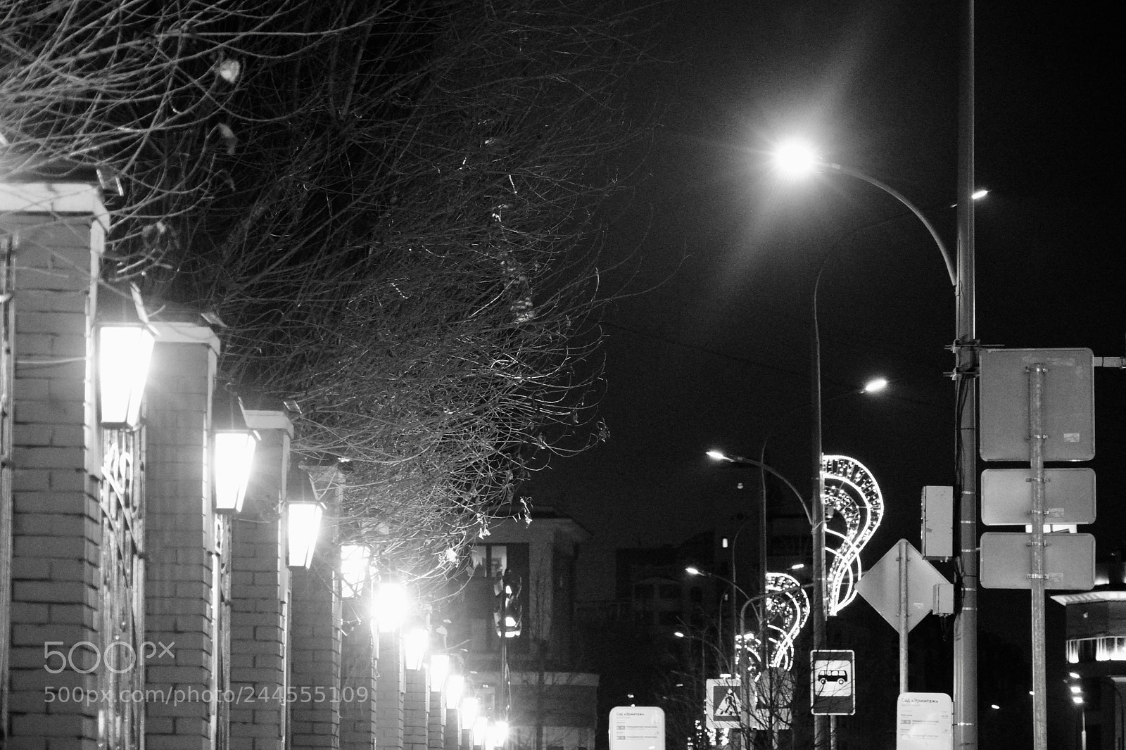 Sony a7R II sample photo. Untitled photography