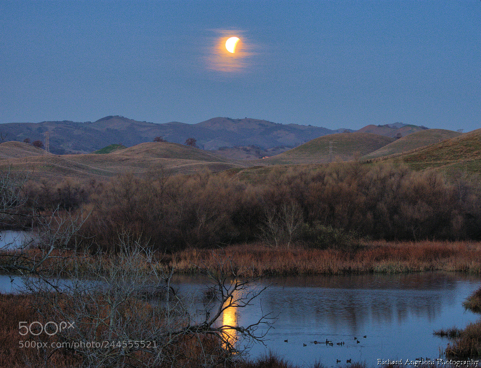 Nikon D7200 sample photo. Super blood blue moon photography