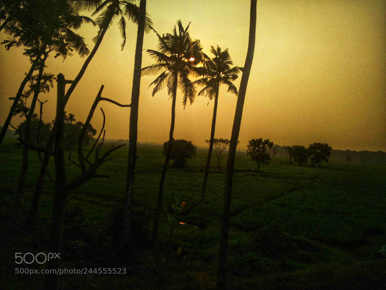 OnePlus 2 sample photo. Untitled photography