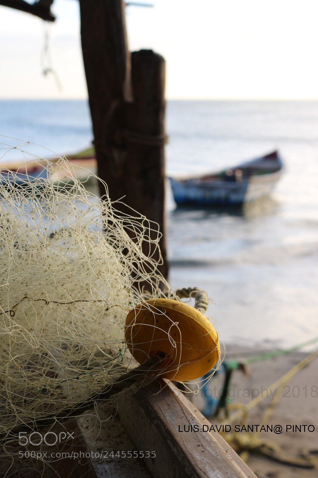 Canon EOS 700D (EOS Rebel T5i / EOS Kiss X7i) sample photo. Aparejos de pesca photography