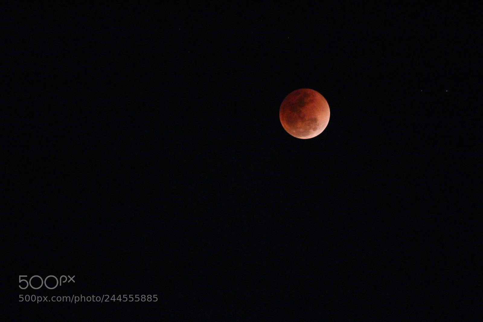 Canon EF-S 55-250mm F4-5.6 IS II sample photo. Untitled photography