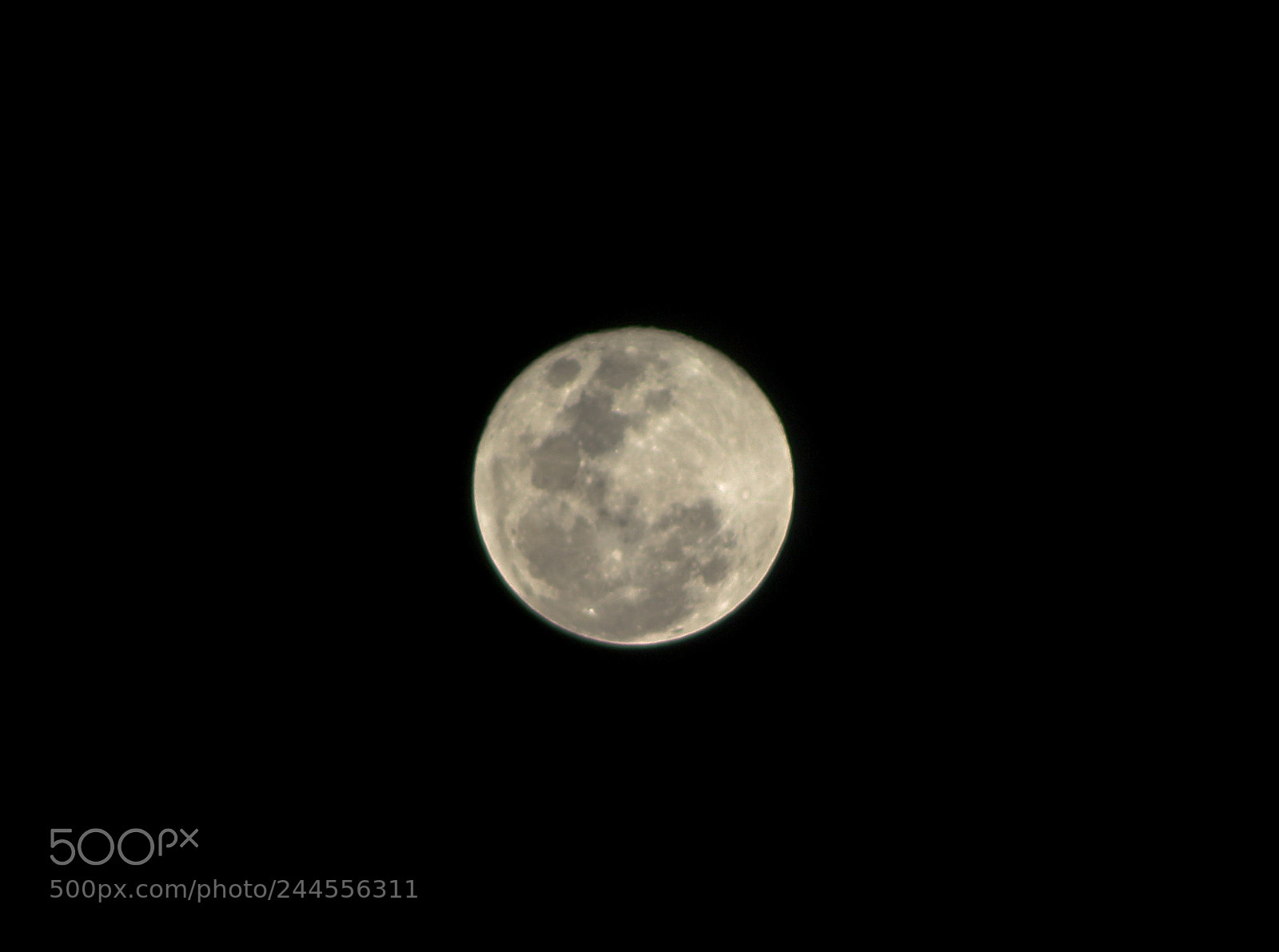 Canon EOS 1200D (EOS Rebel T5 / EOS Kiss X70 / EOS Hi) sample photo. Blue moon photography
