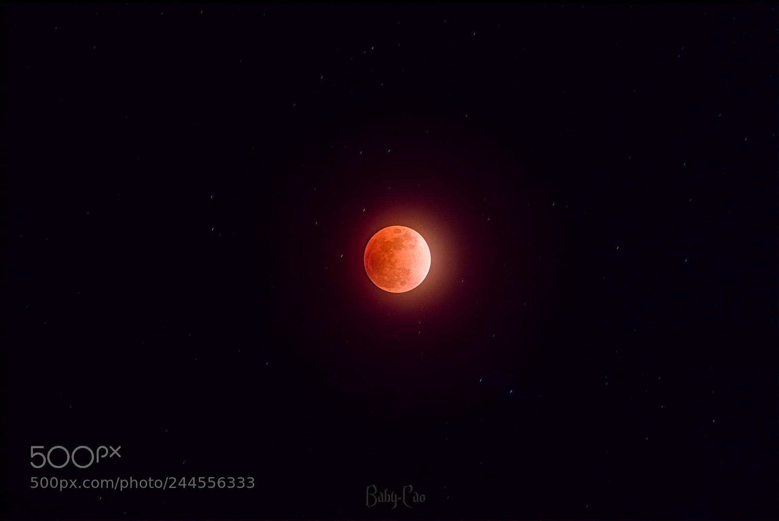 Sony a7R III sample photo. 编辑——网络输出 photography