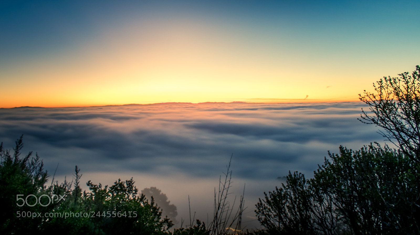 Nikon D3400 sample photo. Fog blanket photography