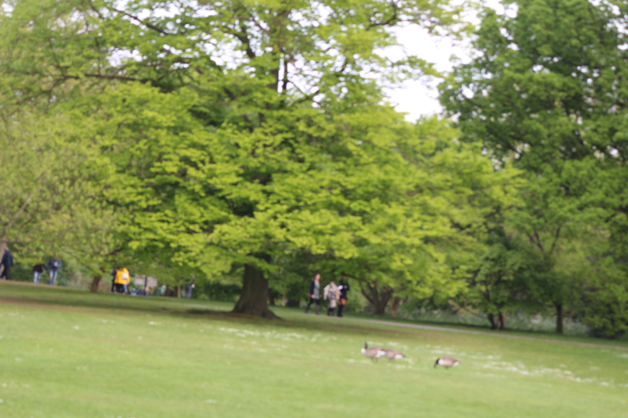 Canon EOS 650D (EOS Rebel T4i / EOS Kiss X6i) sample photo. Img photography