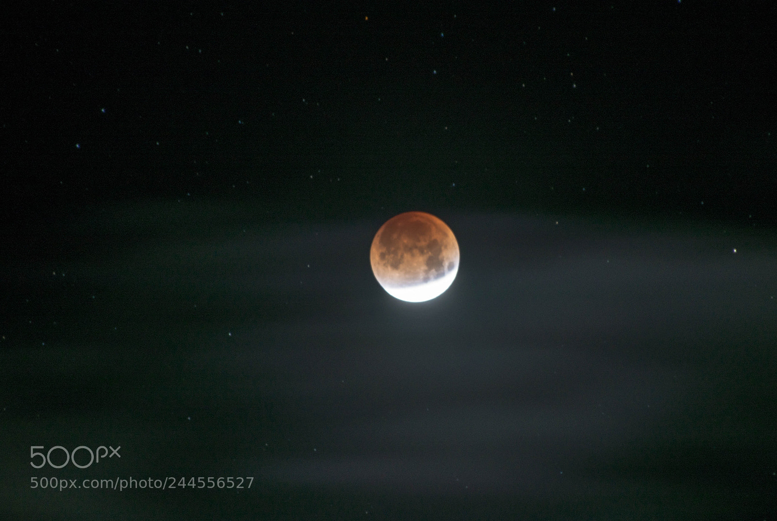 Nikon D800 sample photo. Super blue blood moon photography