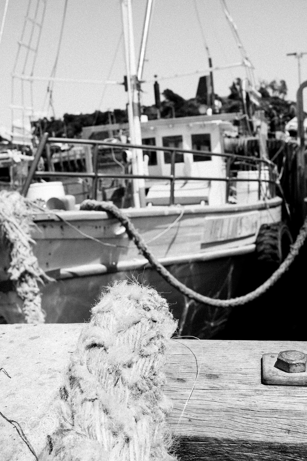 Fujifilm X100F sample photo. Tied up photography