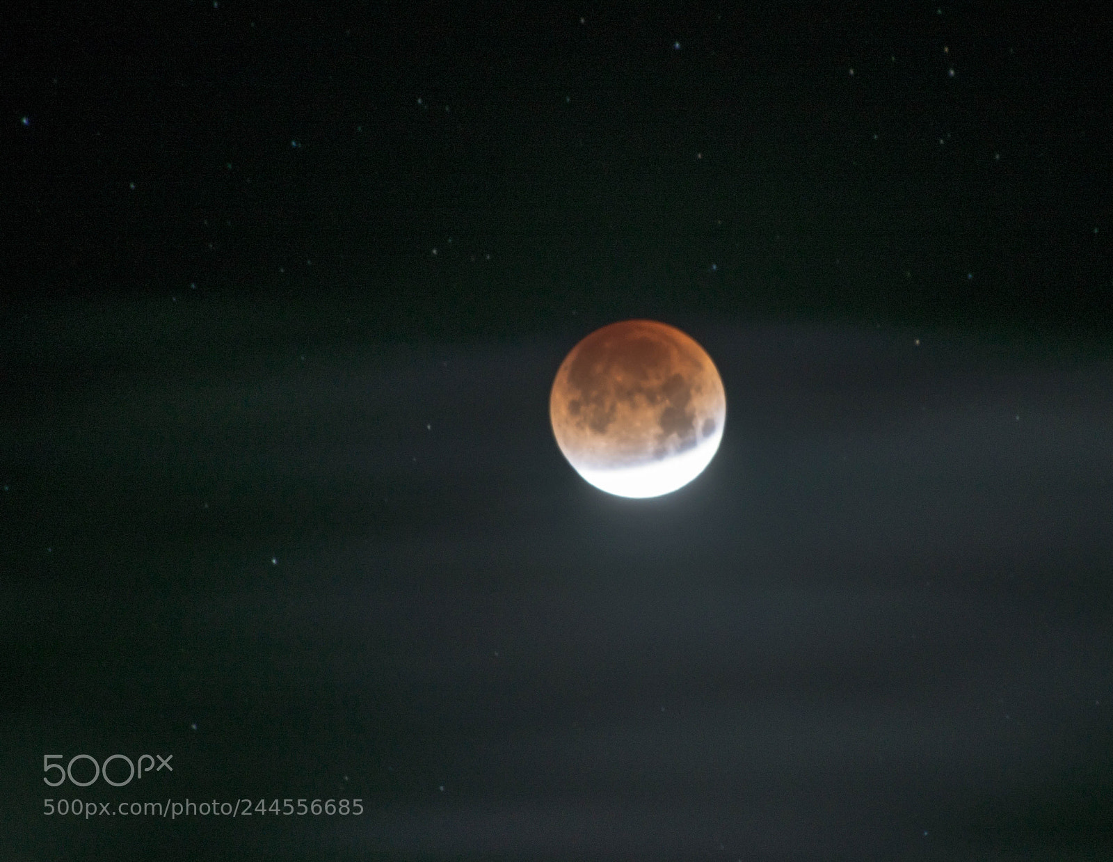 Nikon D800 sample photo. Super blue blood moon photography
