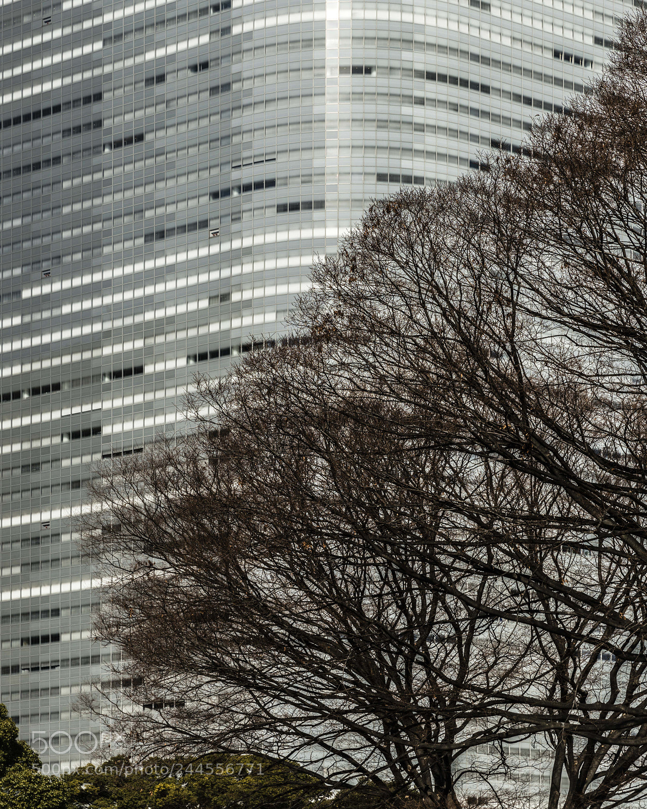 Sony a7R III sample photo. View from the park photography
