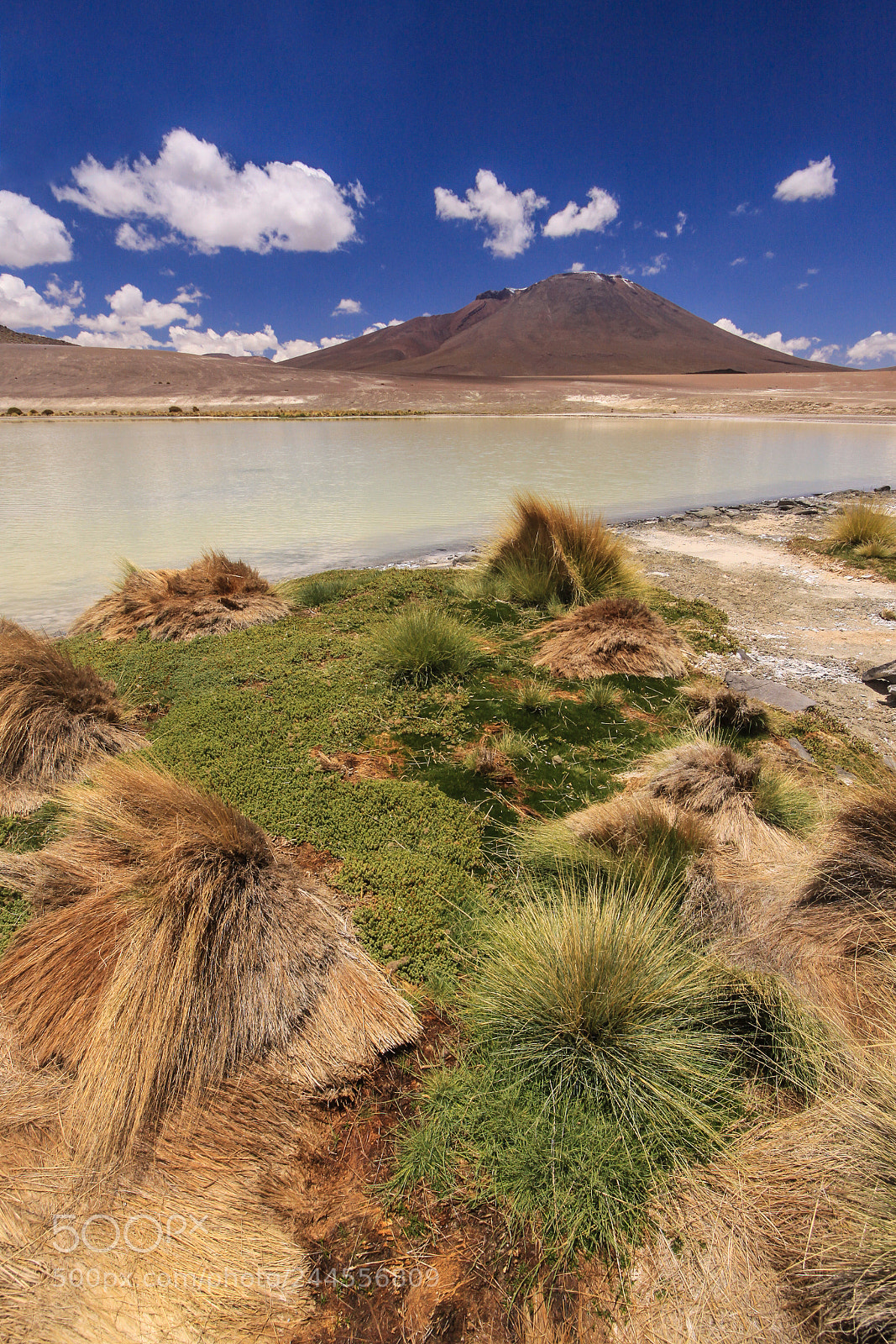 Canon EOS 50D sample photo. Borax lake bolivian altiplano photography