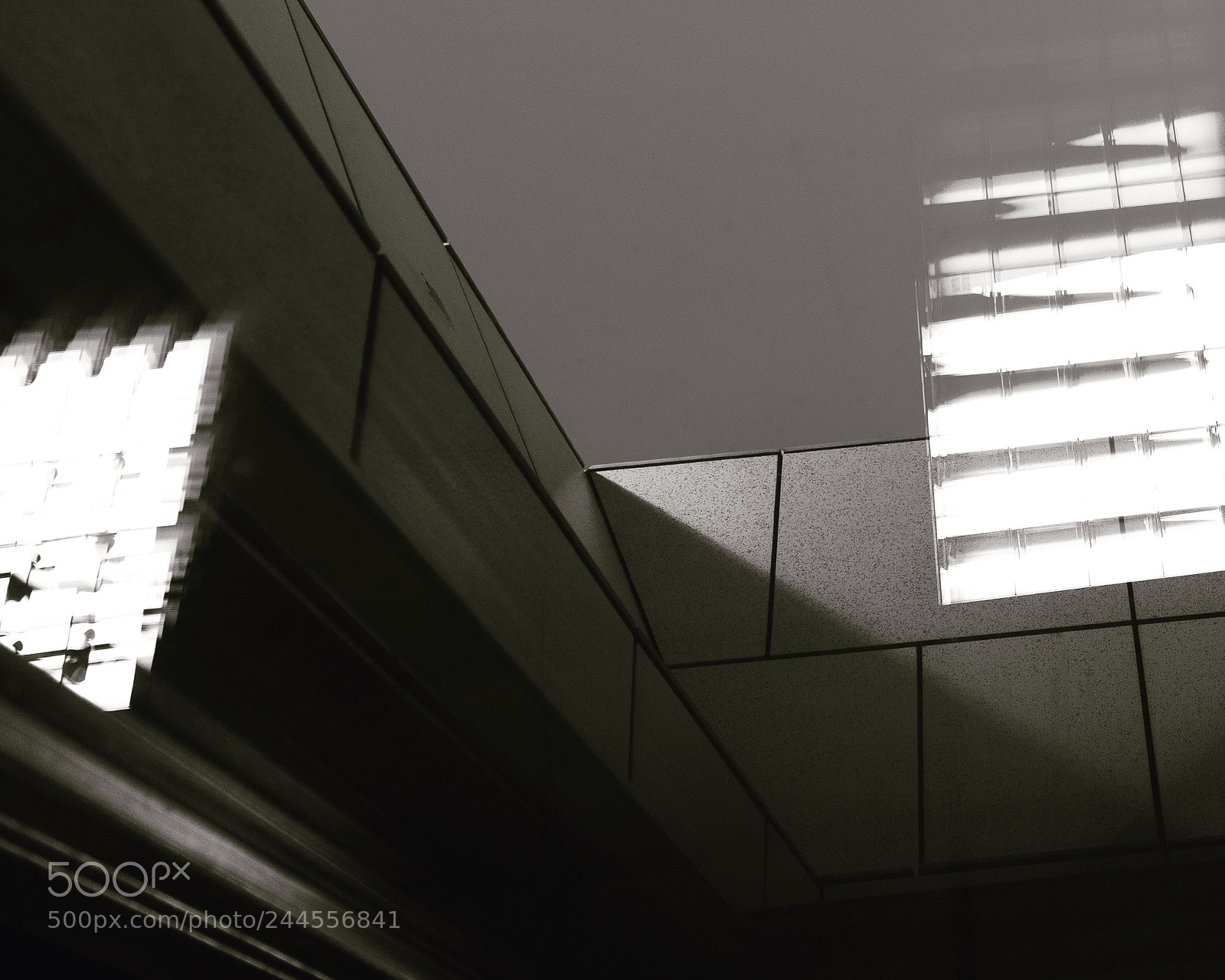 Sony a7R II sample photo. Untitled photography