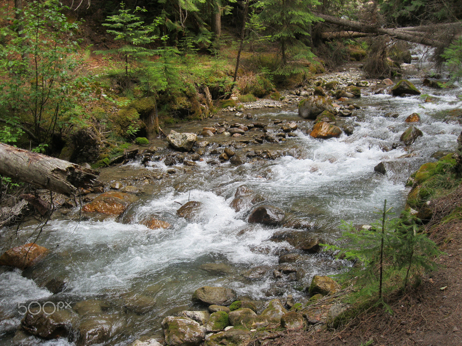 Canon PowerShot A3100 IS sample photo. Stones under rushing water photography