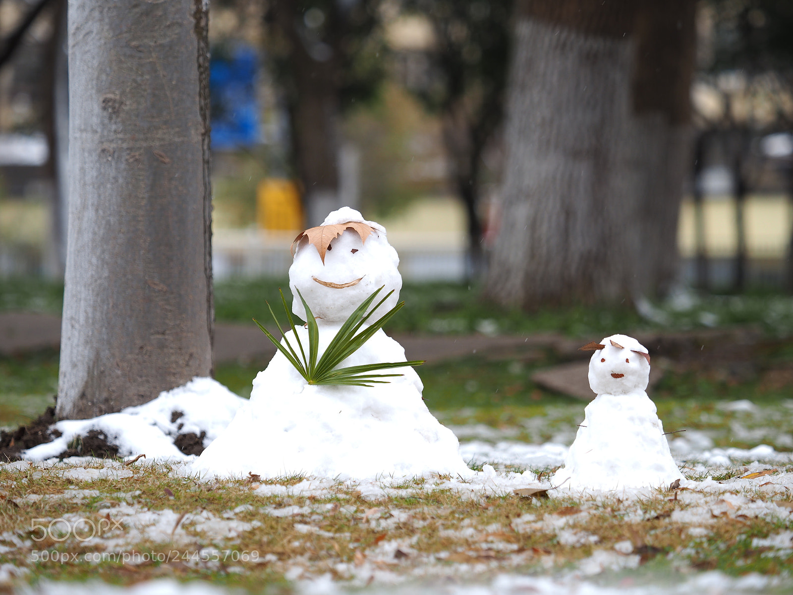 Olympus OM-D E-M1 sample photo. The beautiful snowing landscape photography