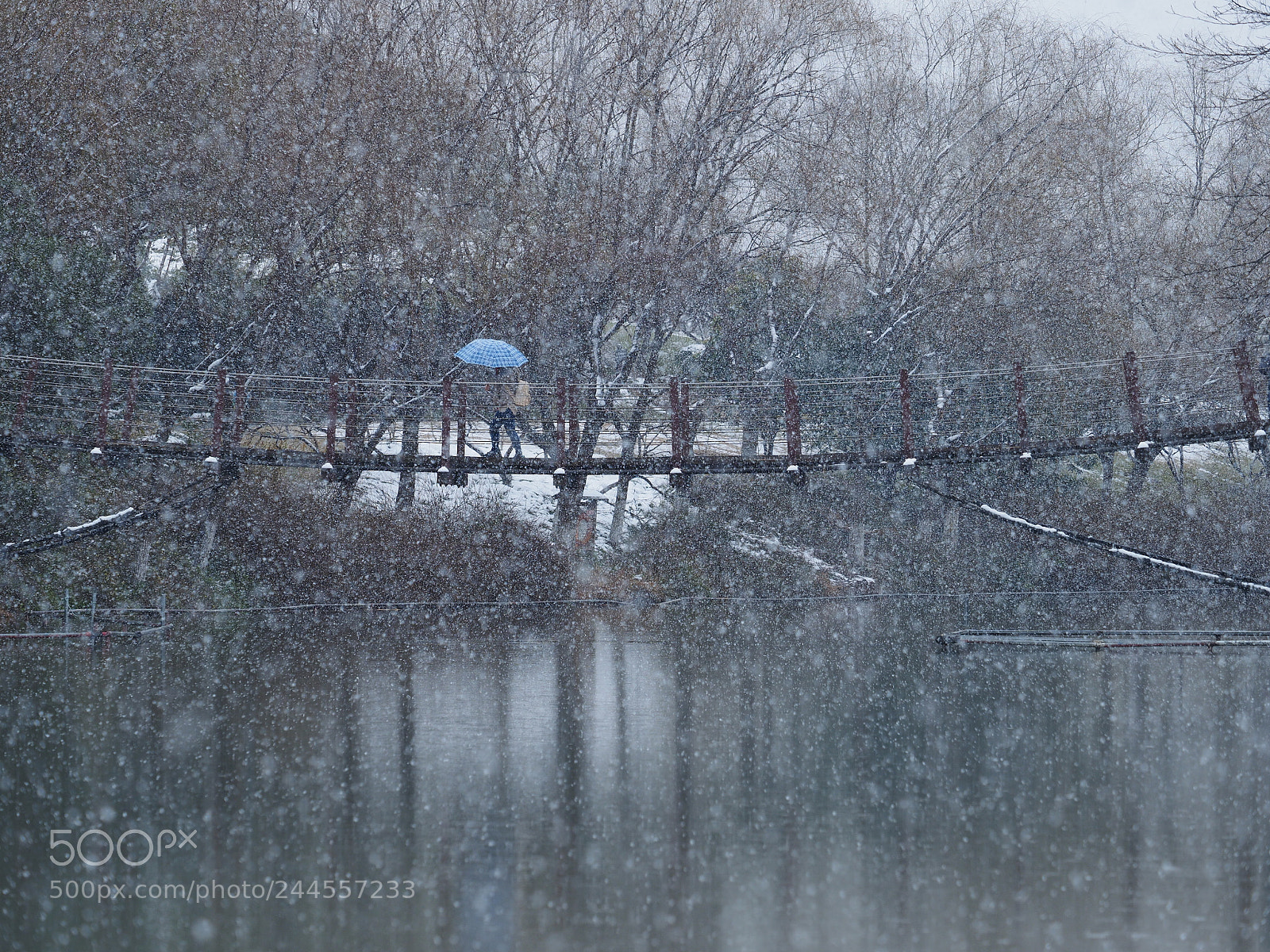 Olympus OM-D E-M1 sample photo. The beautiful snowing landscape photography
