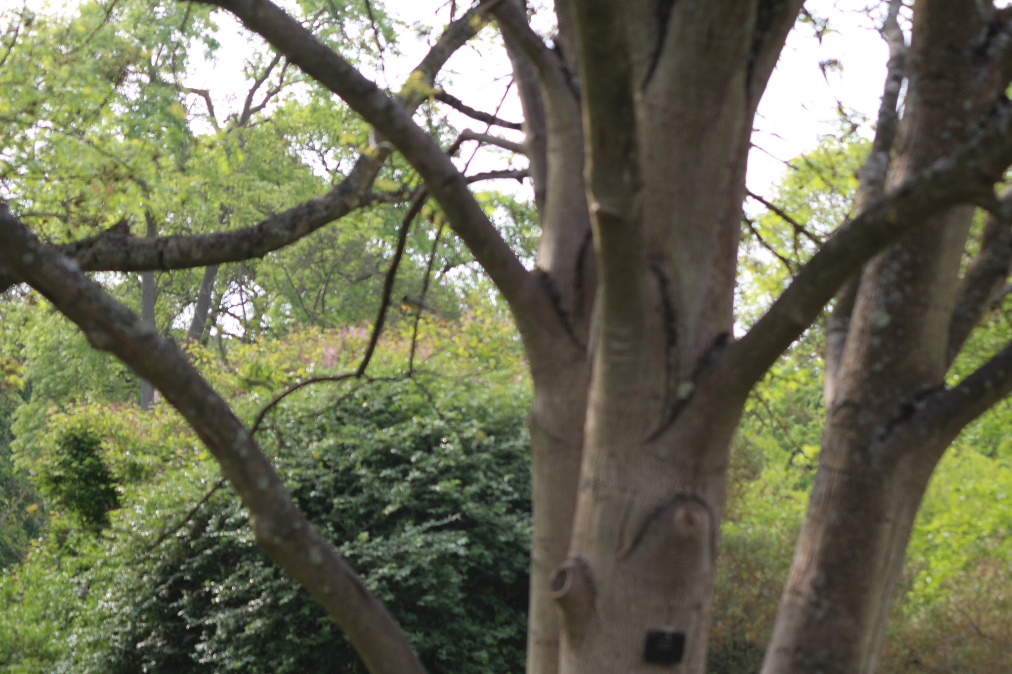 Canon EOS 650D (EOS Rebel T4i / EOS Kiss X6i) sample photo. Img photography