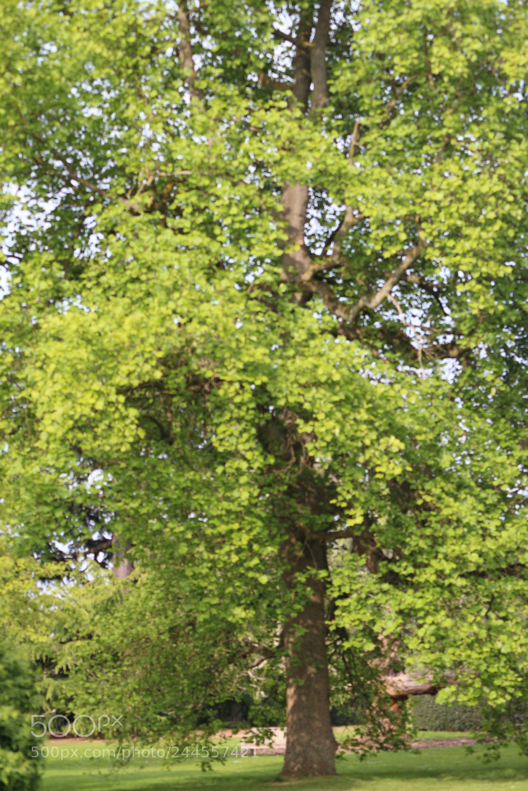 Canon EOS 650D (EOS Rebel T4i / EOS Kiss X6i) sample photo. Img photography