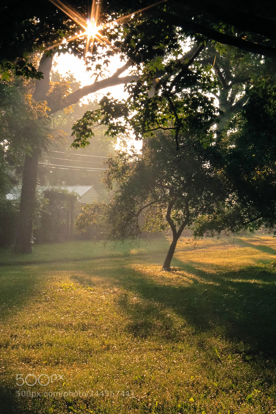 Canon EOS 1100D (EOS Rebel T3 / EOS Kiss X50) sample photo. Golden hour in the photography