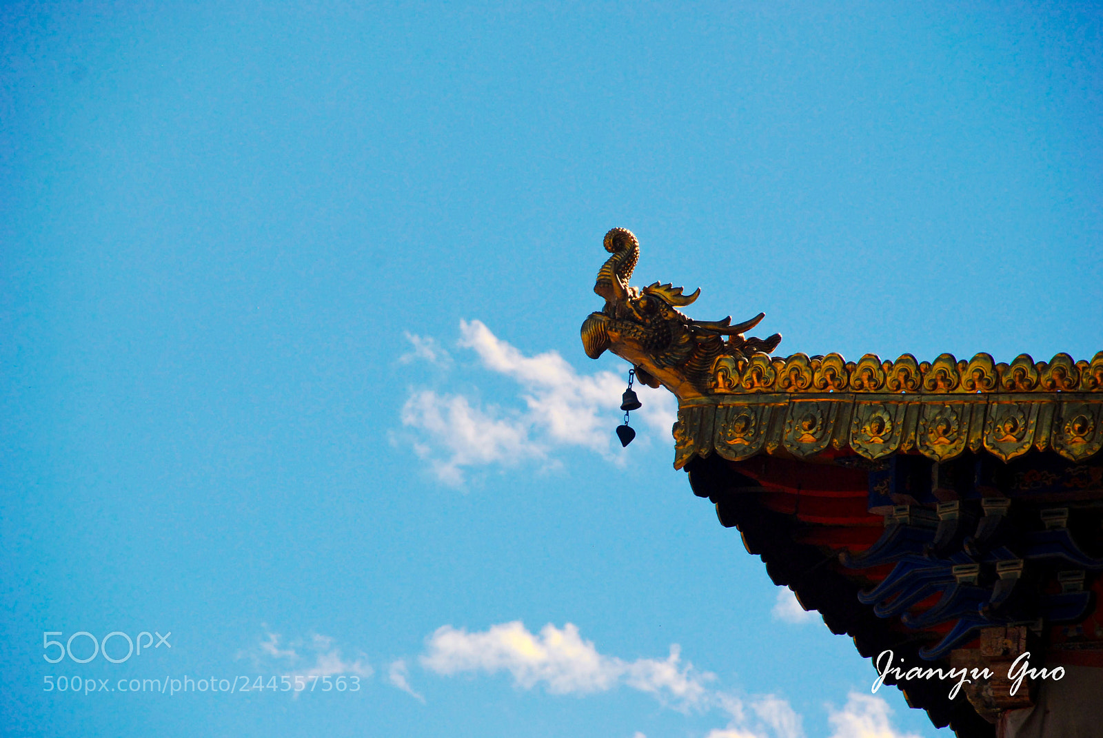 Nikon D80 sample photo. Dou jiao photography
