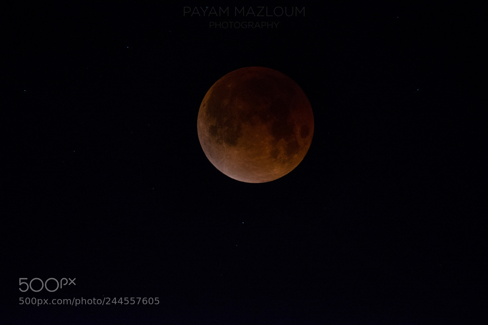 Nikon D7100 sample photo. Super blue blood moon photography