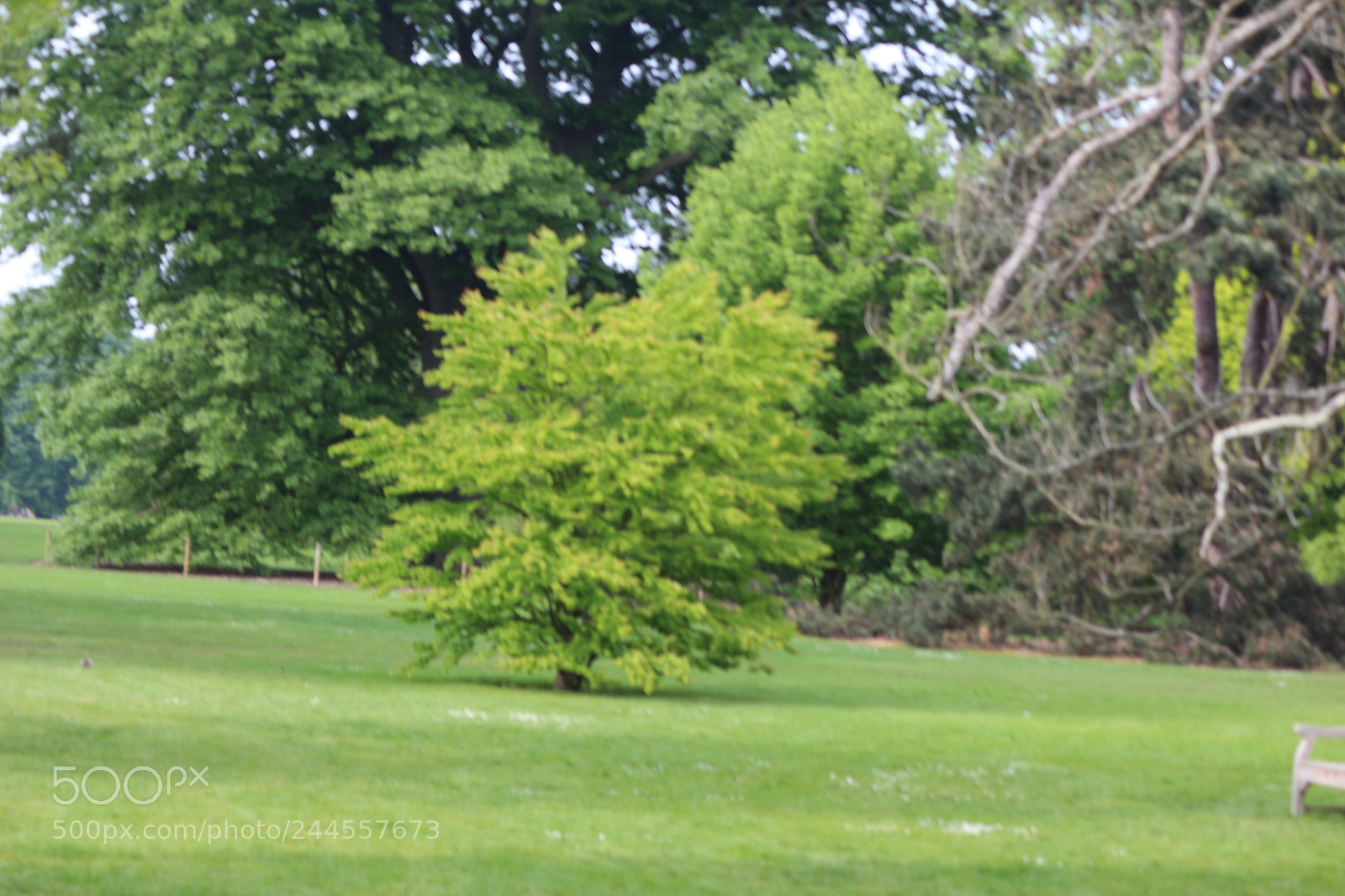 Canon EOS 650D (EOS Rebel T4i / EOS Kiss X6i) sample photo. Img photography