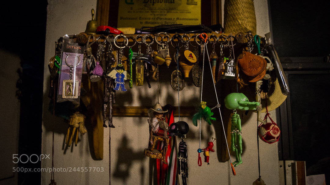 Sony SLT-A37 sample photo. Souvenirs photography