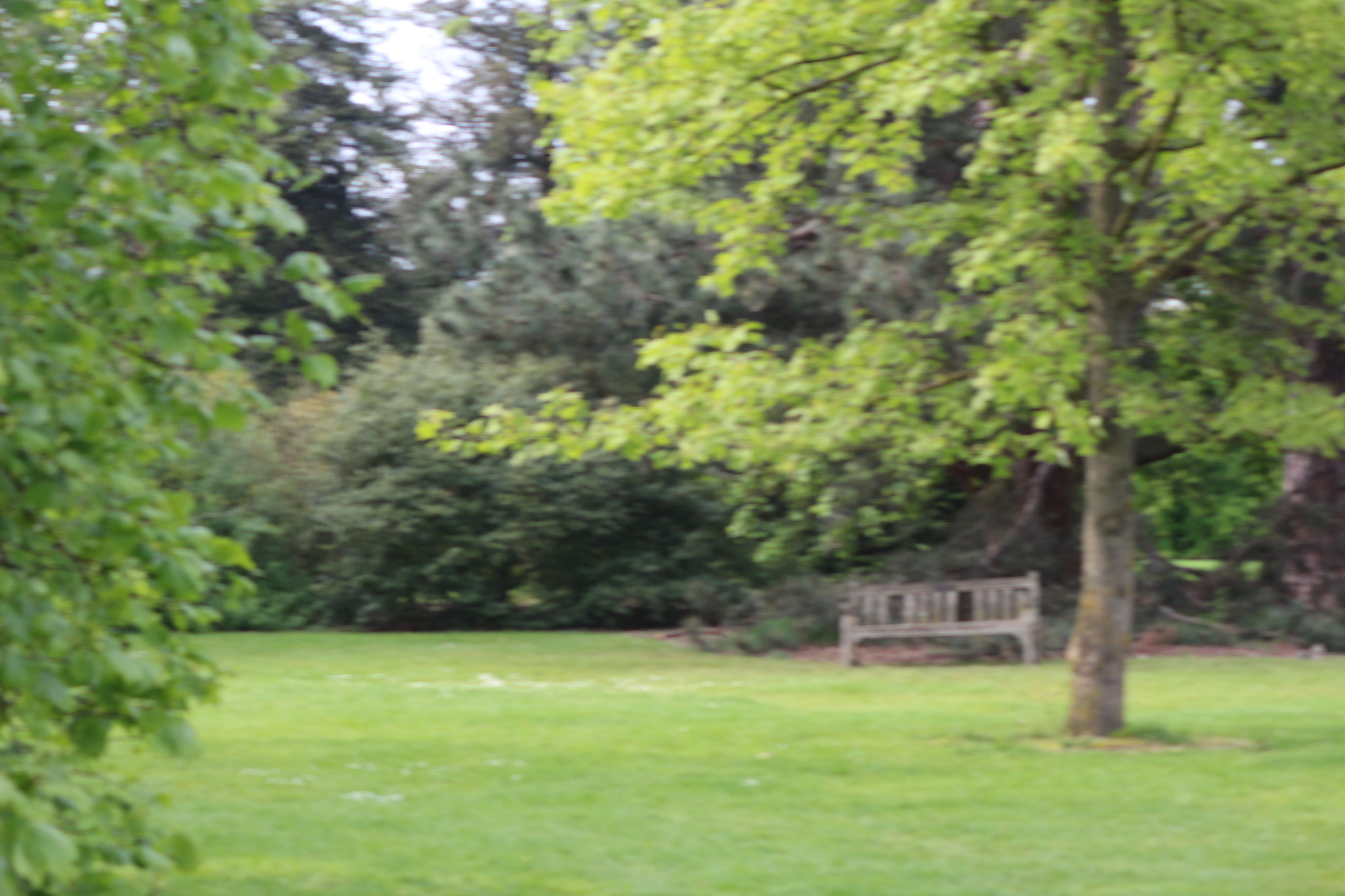 Canon EOS 650D (EOS Rebel T4i / EOS Kiss X6i) sample photo. Img photography