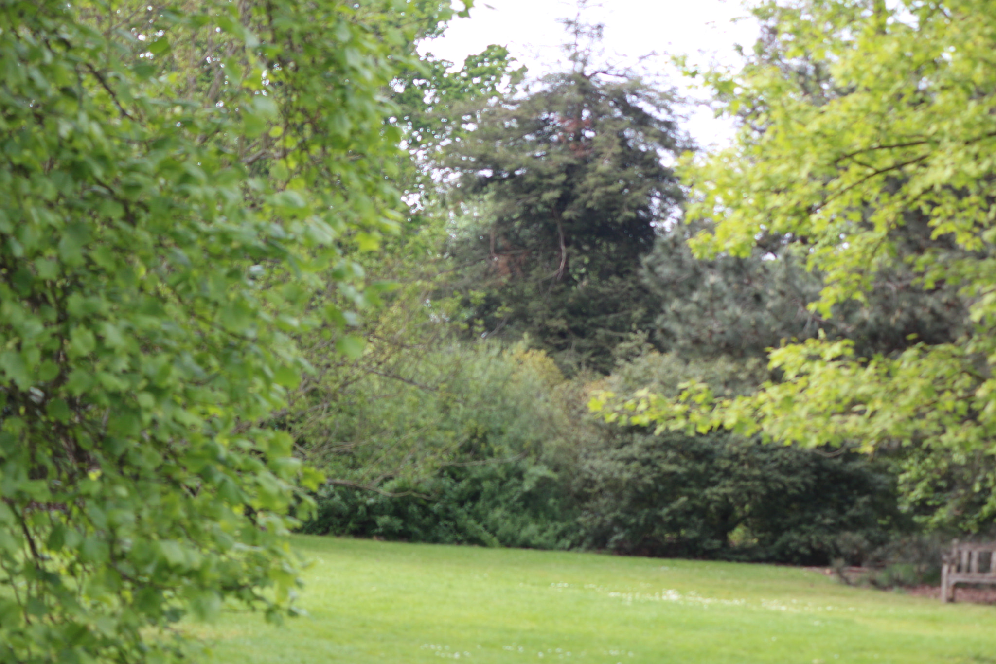 Canon EOS 650D (EOS Rebel T4i / EOS Kiss X6i) sample photo. Img photography