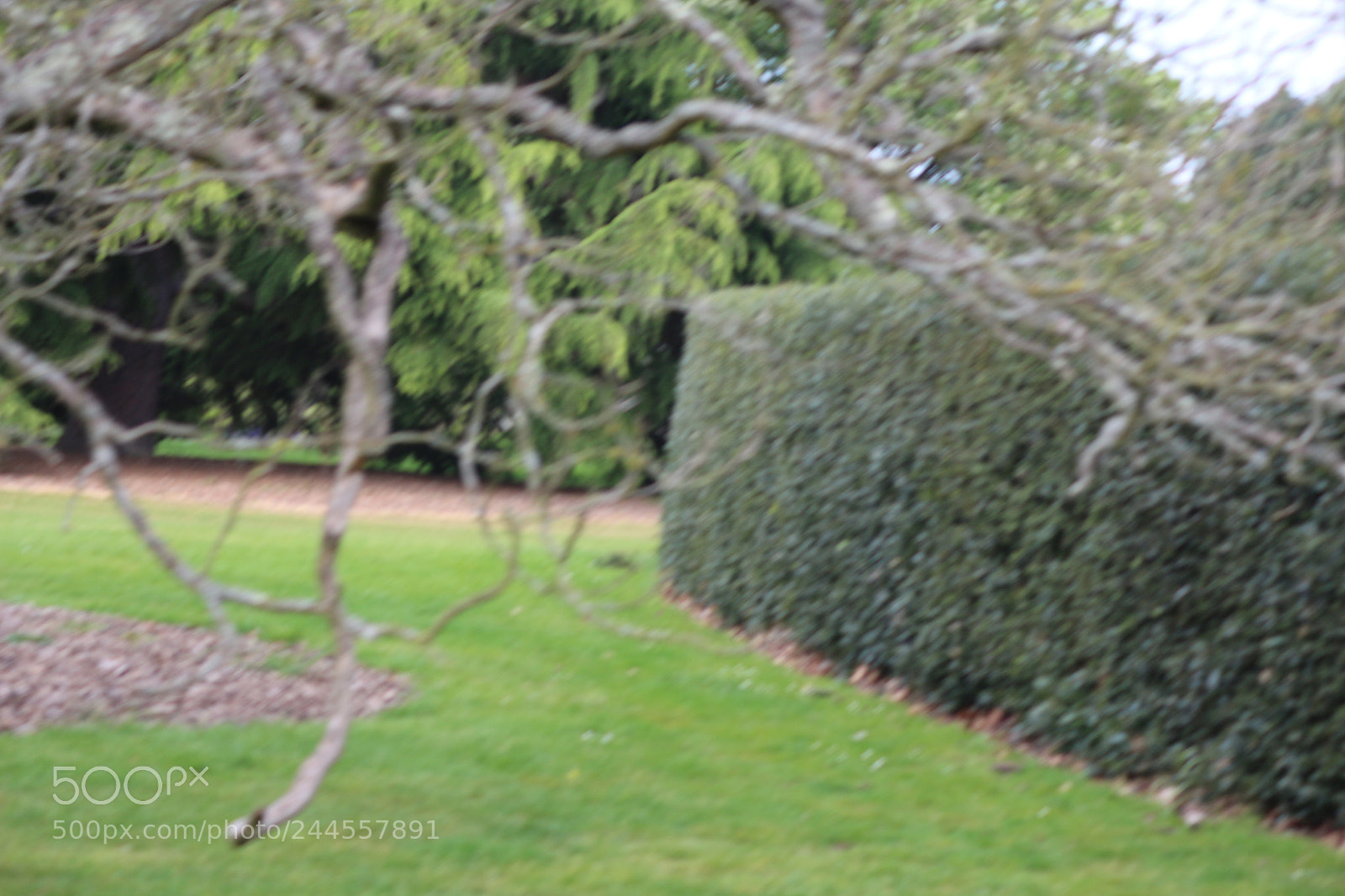 Canon EOS 650D (EOS Rebel T4i / EOS Kiss X6i) sample photo. Img photography