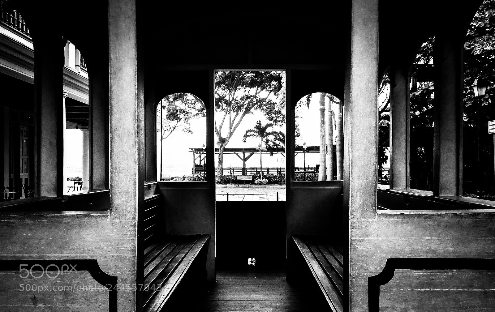 Apple iPhone 6 sample photo. Mirada profunda photography