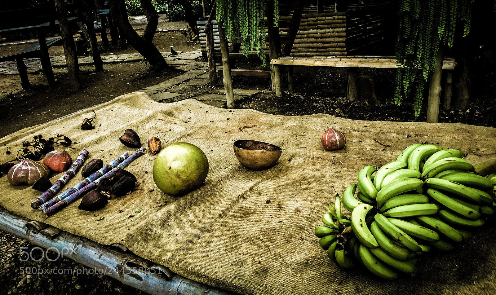 Apple iPhone 6 sample photo. Hambre o moda photography