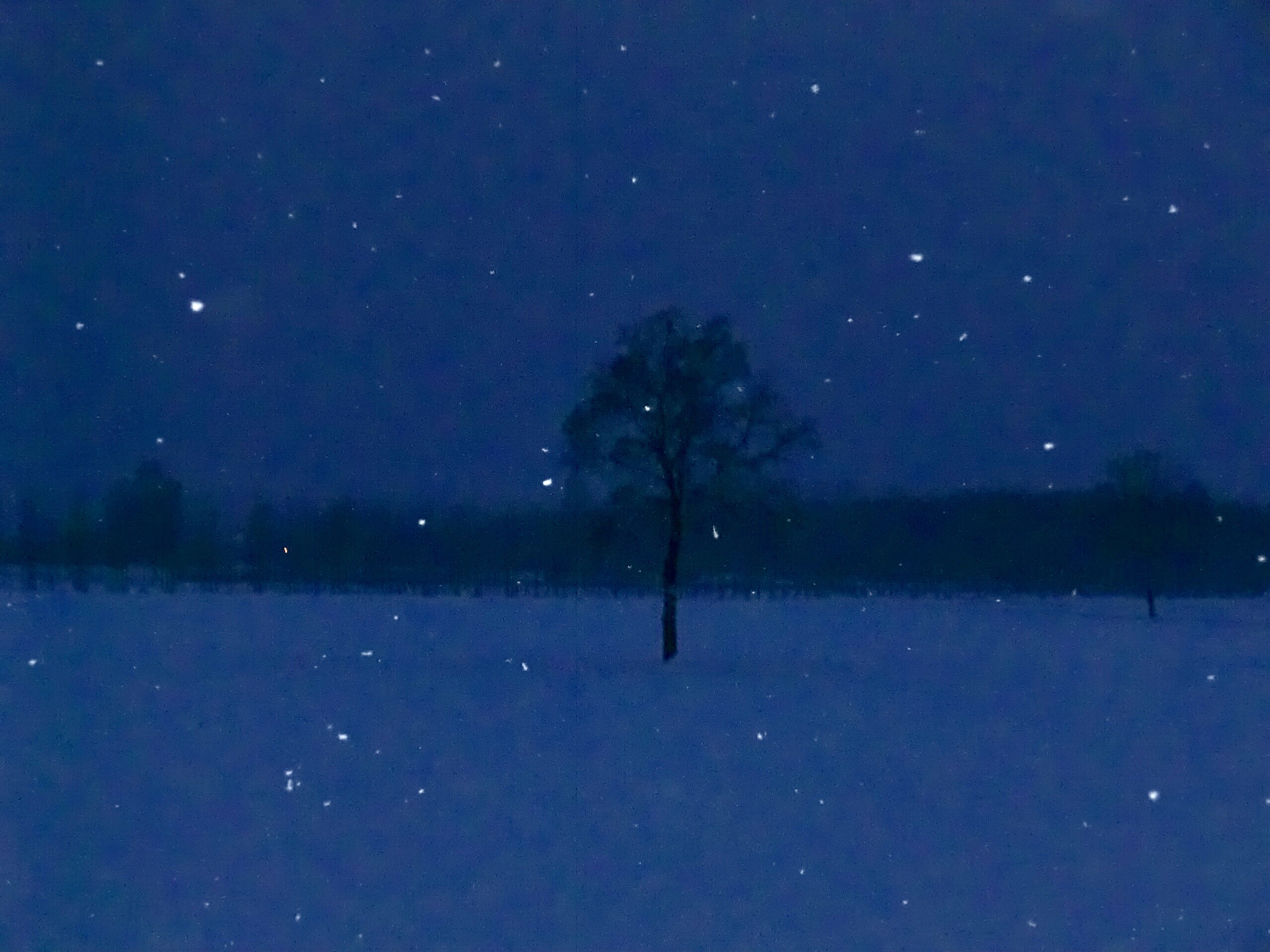 CASIO EX-H30 sample photo. Neve nella notte. photography