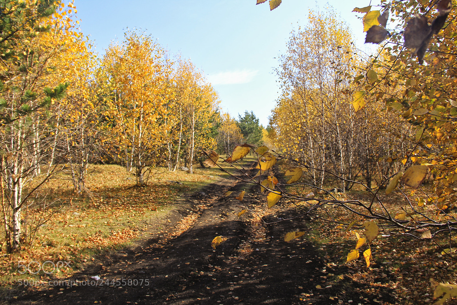 Canon EOS 60D sample photo. Kars photography